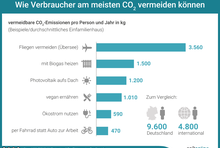 Wie Verbraucher am meisten CO2 vermeiden können – Balkendiagramm mit Beispielen in kg CO2 pro Person und Jahr: Fliegen vermeiden (Übersee): 3.560; mit Biogas heizen: 1.500; Photovoltaik aufs Dach: 1.200; vegan ernähren: 1.010; Ökostrom nutzen: 590; per Fahrrad statt Auto zur Arbeit: 470 – und zum Vergleich die Gesamtzahlen: 9.6000 in Deutschland, 4.800 international