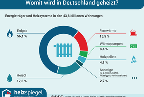 Infografik: Heizenergieträger in Deutschland.